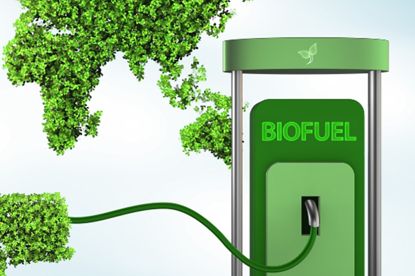 Tờ rơi Bio diesel